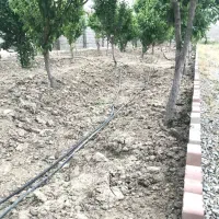 باغچه-خونه-باغ