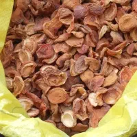 زرد آلو قرمز|خوردنی و آشامیدنی|انگوران, |دیوار