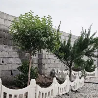 باغ وباغچه180متری انشعابات آب برق گاز/خ اردیبهشت