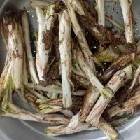 کنگر .خواص درمانی