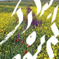 کیف مدارک حاوی گواهینامه کارت موتور بیمه نامه