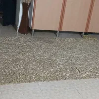 فرش تزئینی جلو تلویزیونی سالم پرز بلند ترک طلایی