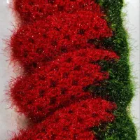 اسکاچ متنوع