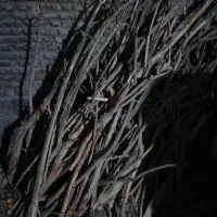 چوب|صنایع دستی و سایر لوازم تزئینی|مشهد, بهار|دیوار