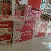 پکیج ایران رادیاتور مدل L 24