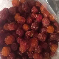 الو مراغه