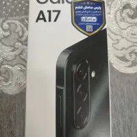 a17