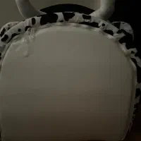 خانه گربه و سگ