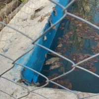 اجاره سهم آب در موتور حاج آقا