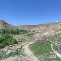 یه زمین مسکونی چهار فرزندی شکراب