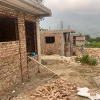 زمین روستای جنگلی یورت زینل (بوم گردی)