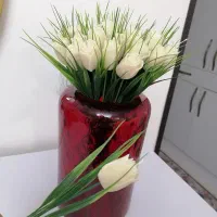 40شاخه گل باگلدان