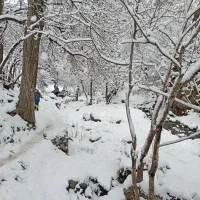 طبیعت گردی