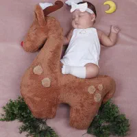استودیو و آتلیه هژبر