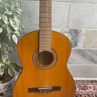 گیتار ایرانی برای مبتدی