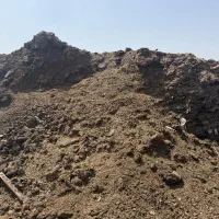 کود گوساله و گوسفندی مخلوط کهنه