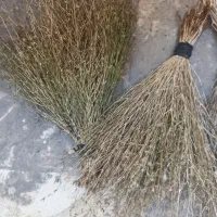 جاروی کوهی فقط ۱۲۰ هزار تومن