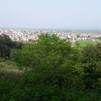 مهندس عمران و مدیریت ساخت،دفتر فنی و اجرایی، تدریس