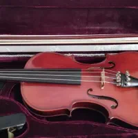 ویولن حرفه ای
