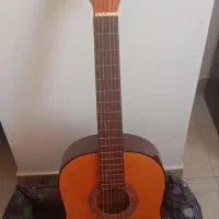 گیتار پارسی c60