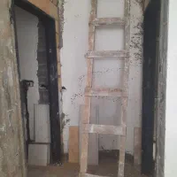 چوب صنوبر و نراد