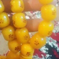 تسبیح سندلوس. کچکول