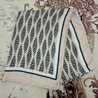 تعدادی لباس