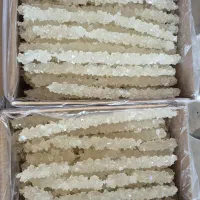 نبات شاخه سفید