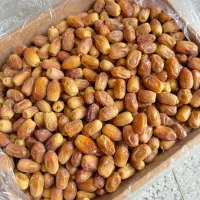 خرما زاهدی ( قصب )
