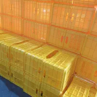 فروش|ظروف نگهدارنده، پلاستیکی، یک‌بارمصرف|شیراز, گل سرخ|دیوار