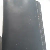 پیدا شده