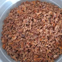 ترشاله باغات بابگهر