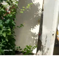 ۵ عدد در چوبی سالم