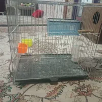 قفس