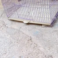 قفس|لوازم جانبی حیوانات|اسلام‌‌آباد غرب, |دیوار