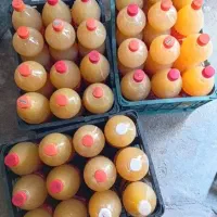 آبغوره طبیعی سیسخت