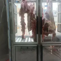 گوشت 1200مرغ ماهی اقلام اساسی سوپر پروتیین حسنوند
