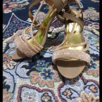 کفش مجلسی