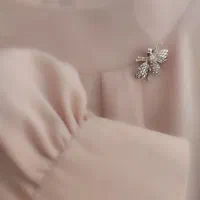 بلوز مجلسی درحدنو