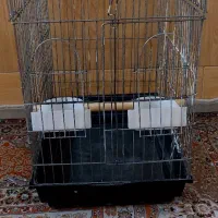 قفس کاسکویی