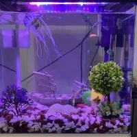 آکواریم sobo t830f به همراه کمد و آکواریم