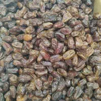 خرما کبکاب