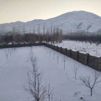 زمین مرغوب راژان