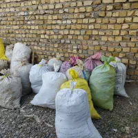 بار کبوتر