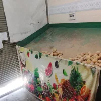 پالت میوه