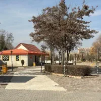 کار در رستوران