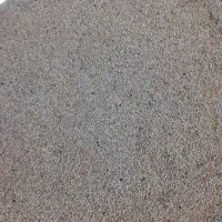 ارزن درشت سفید ایرانی