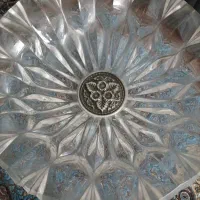 میوه خوری سیلور