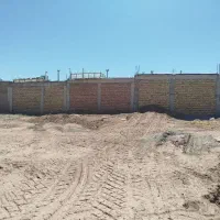 زمین دوکله تک برگ