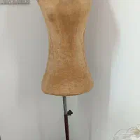 مانکن  سوزن خور